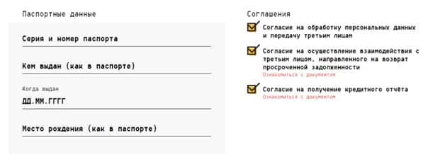Ввод паспортных данных в личном кабинете One Click Money